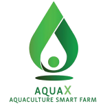 AquaX - Giải pháp nuôi tôm thông minh ứng dụng AIoT