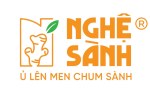 Nghệ Sành - Fermented fresh turmeric with honey